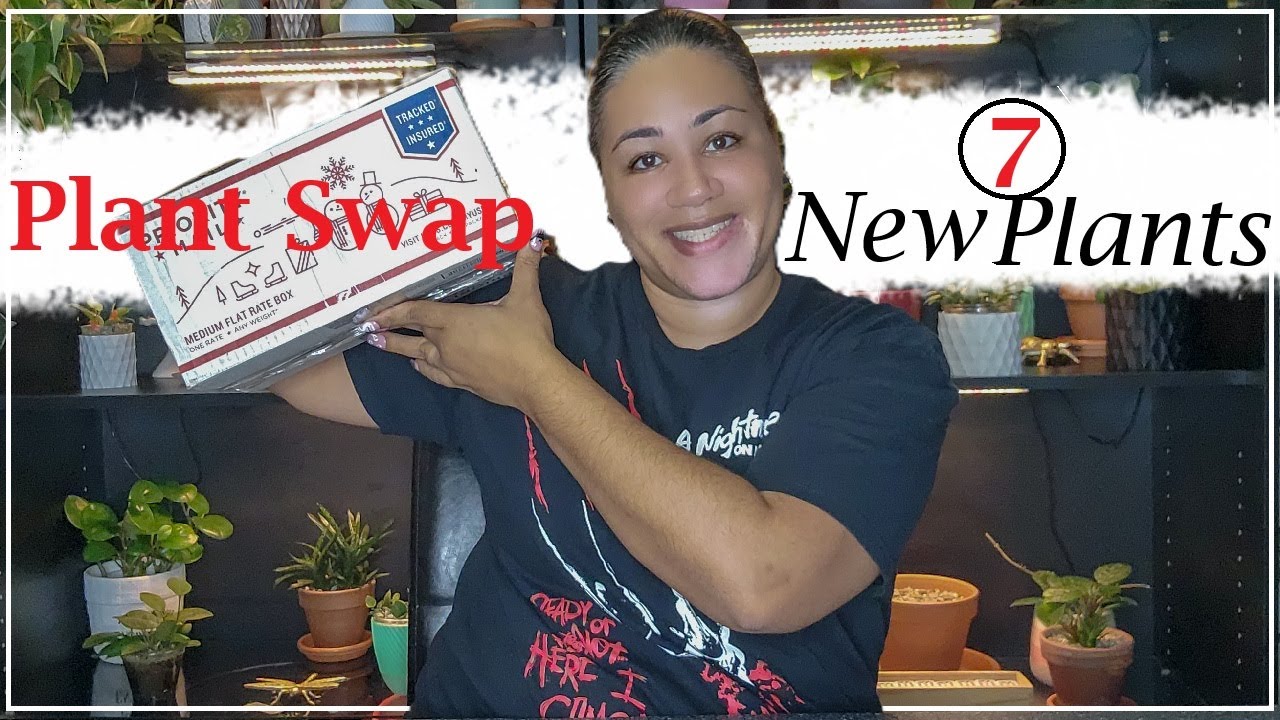 7 New Plants | Plant Swap #plants #haul #new #planthaul #unboxing  #variegatedplants  #wishlist