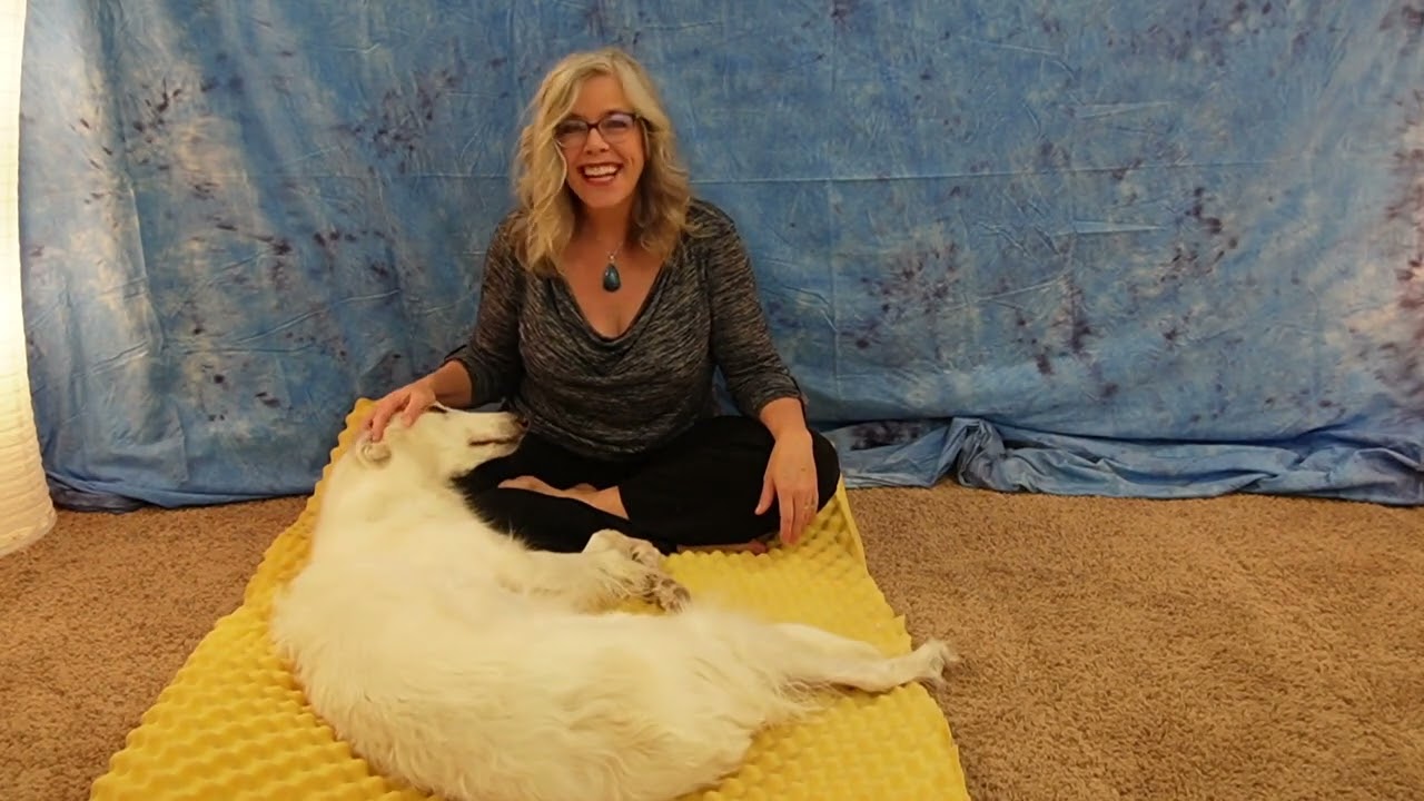 FourLegRehabMinute-EggCrateFoamForSwimmer'sPuppies