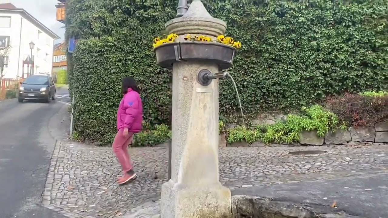Walk around Oberhofen along Thunersee #switzerland🇨🇭#travel #tourism #holiday #lake #flowers