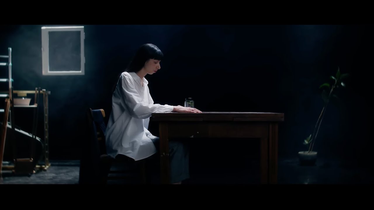 Braake - Hinter unsern Gittern (Official Music Video)
