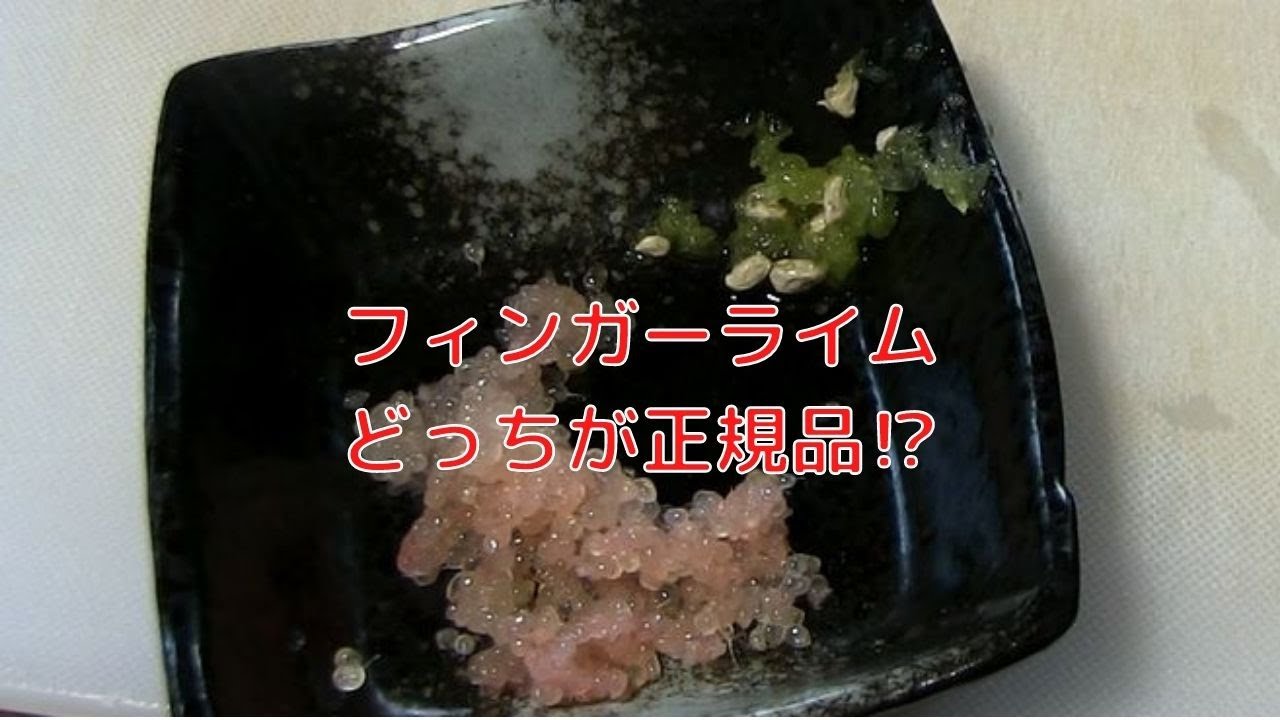 フィンガーライムの非正規品を買ってしまったら…
