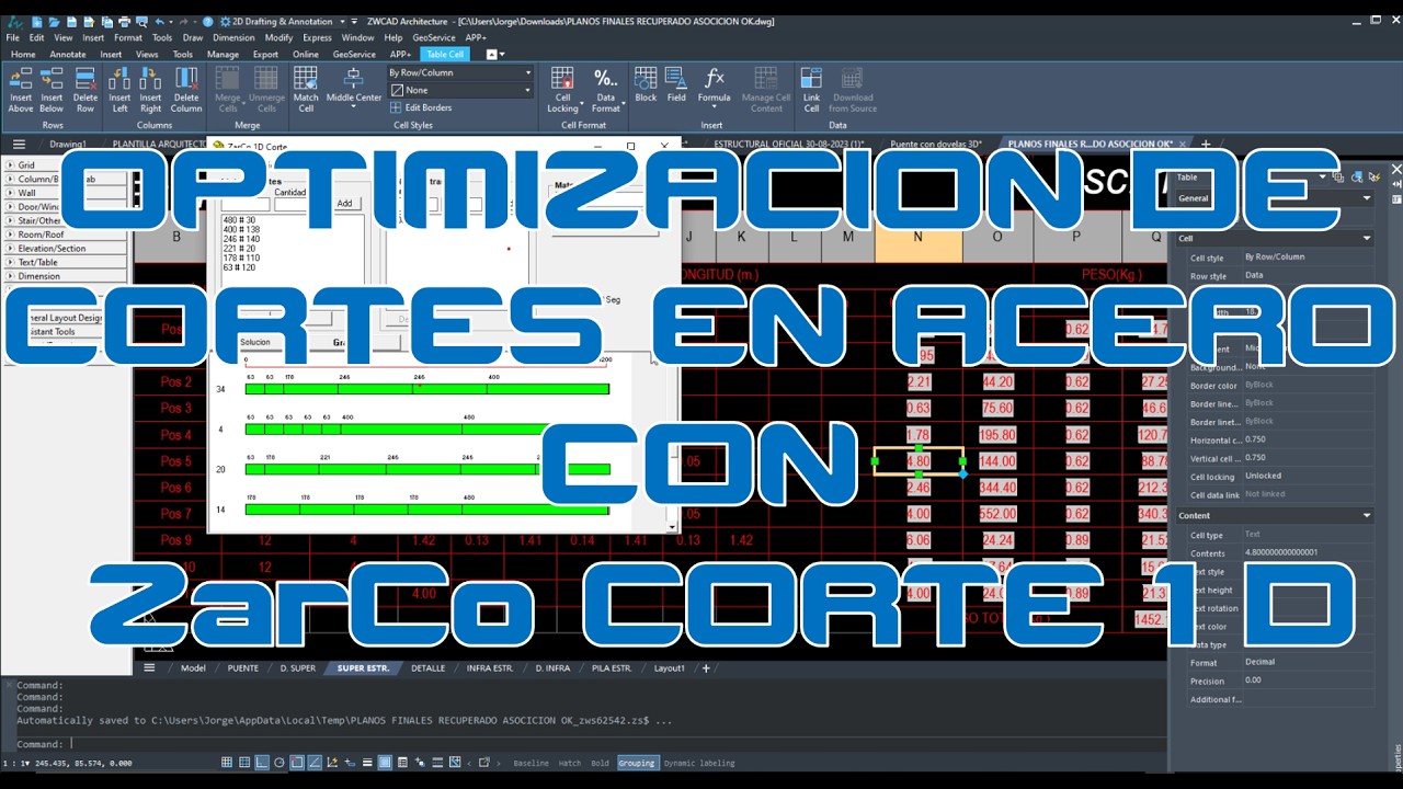 ZarCo Corte 1D 2026