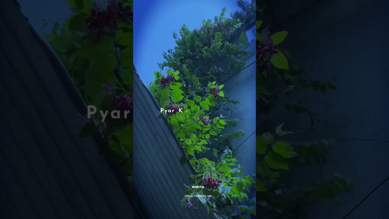 chandrahas chandrahas video s