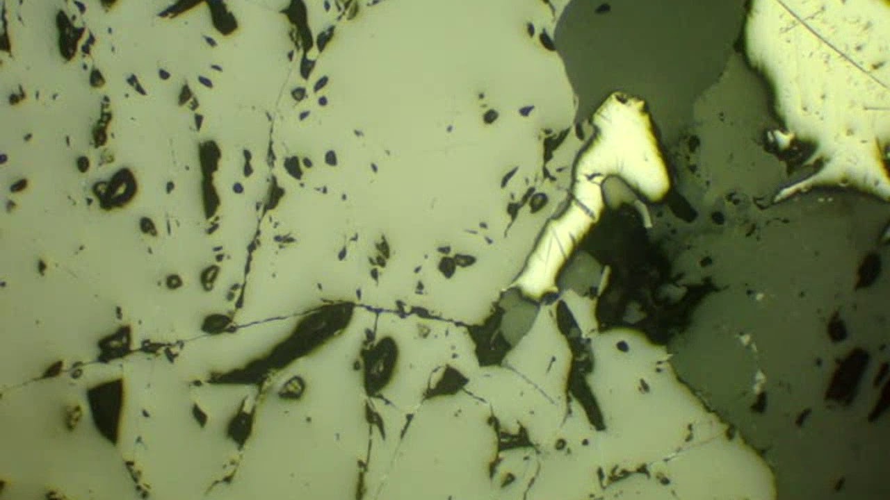 Magnetita - Luz Refletida - Nicóis Descruzados e Cruzados