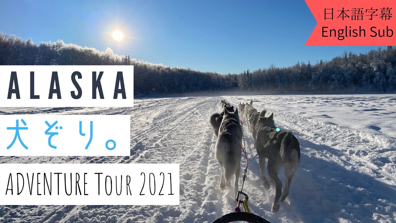 #39 Dog Sledding in Willow 世界最大の犬ぞりレースが行われるアラスカで初体験
