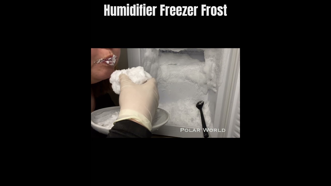 Mouthwatering Humidifier Freezer Frost