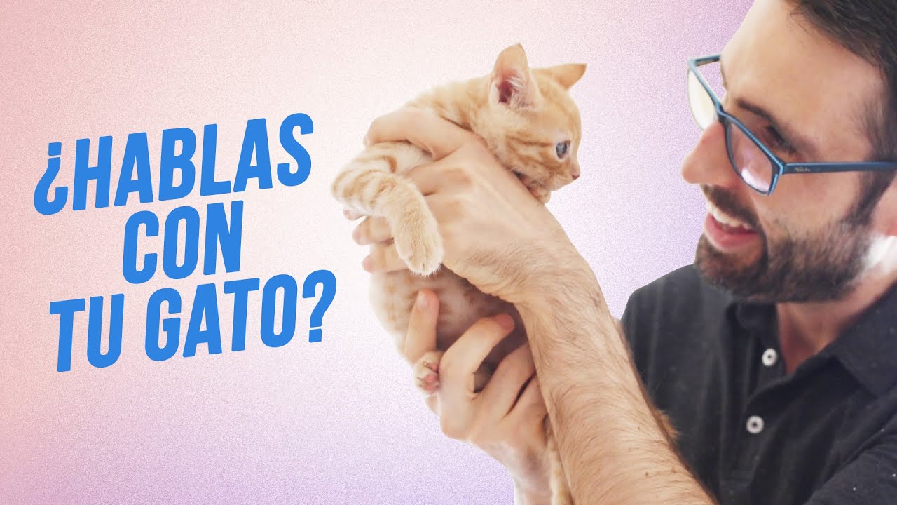 3 BENEFICIOS ✨ de convivir con mascotas (GATOS 😸 PERROS 🐶) | Mejoran la SALUD y AYUDAN a ESTAR MEJOR