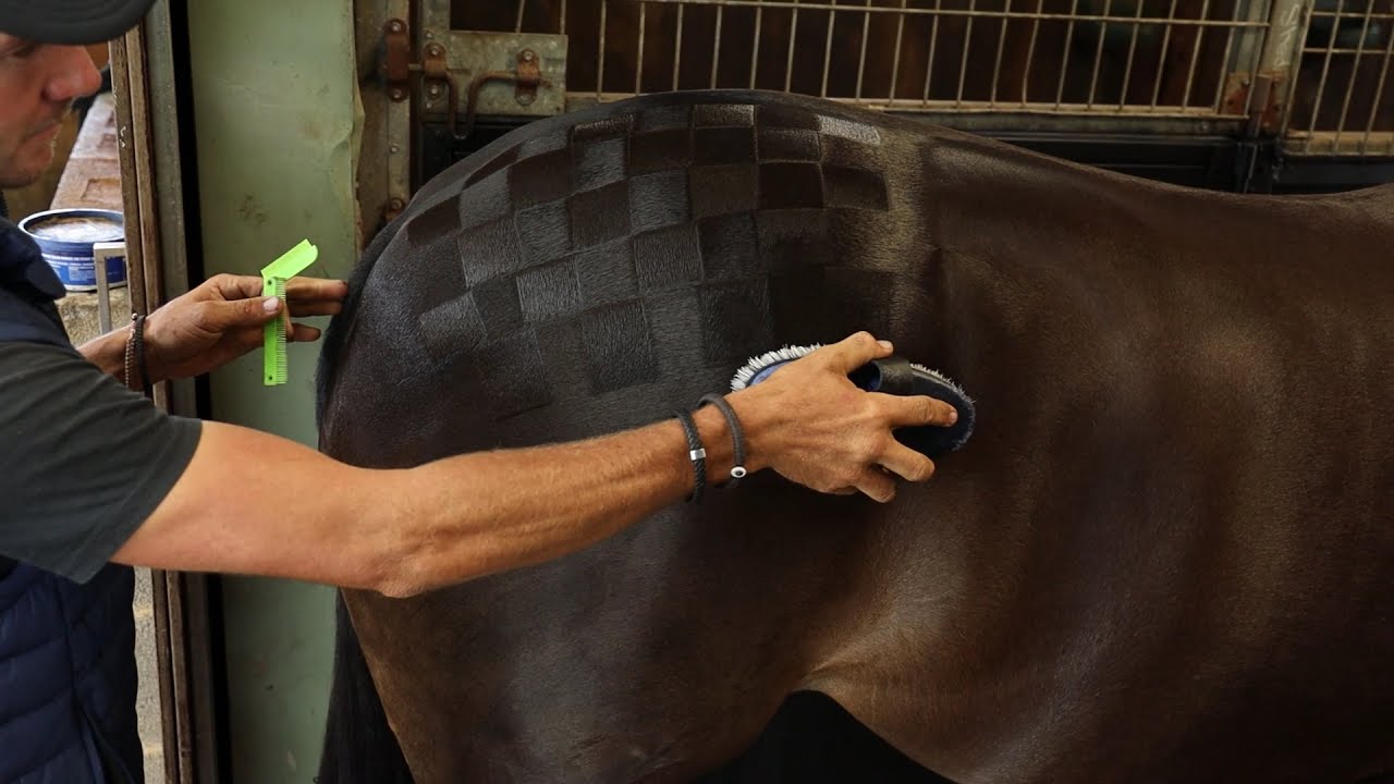 Applying Checkerboard Quarter Markers