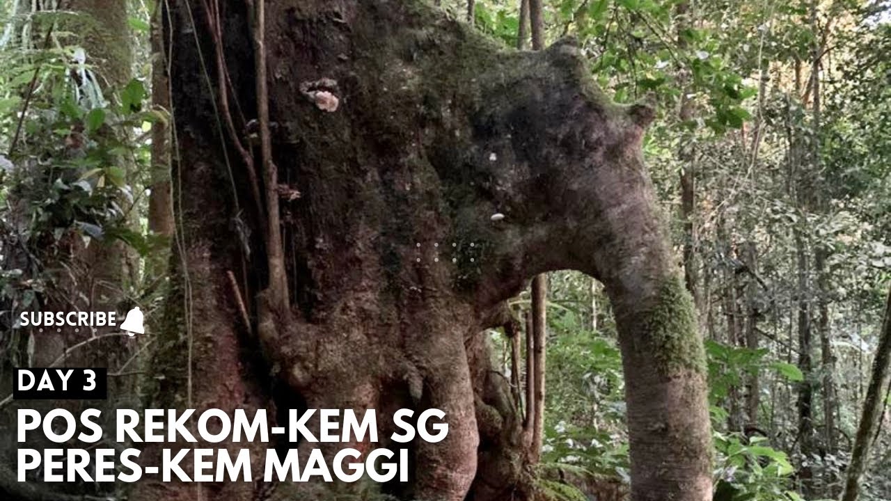 DAY 3 : TRANS CHAMAH ULU SEPAT (CUS) 2020