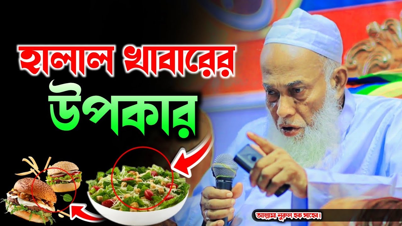 হালাল খাবার নিয়ে যুগ শ্রেষ্ট আলেমের মুক্তাঝড়া বয়ান⁉️ আল্লামা নুরুল হক সাহেব কুমিল্লা | Bangla Waz HD