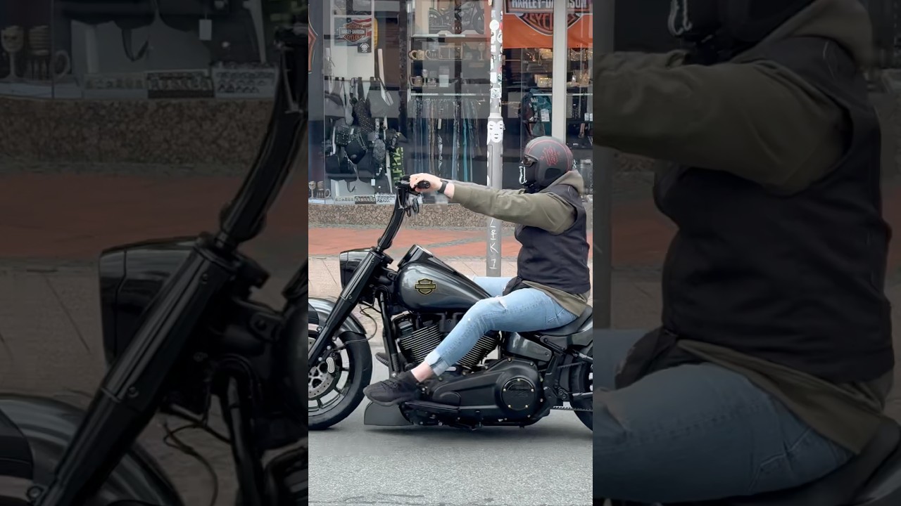 Harley Breakout, Fat Boy #harley #breakout #fatboy