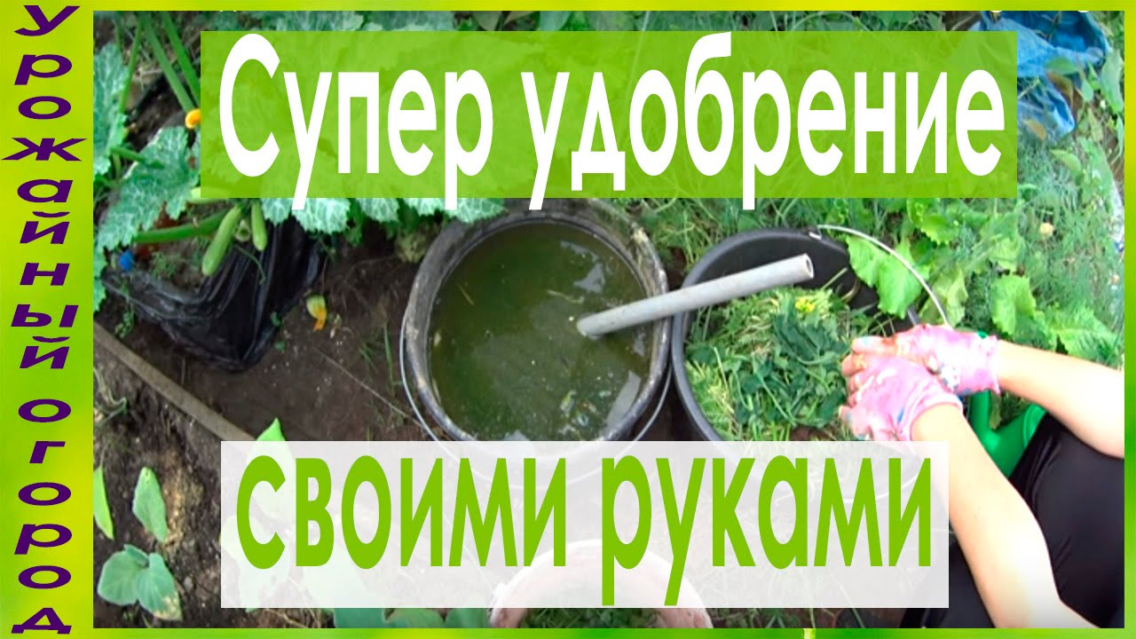 ►СУПЕР УДОБРЕНИЕ СВОИМИ РУКАМИ -ЗАМЕНА НАВОЗА!!!