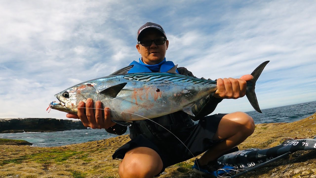 Shore Jigging Mack Tuna & Bonito｜Palms Jigaro Massive ｜Majorcraft Jigpara