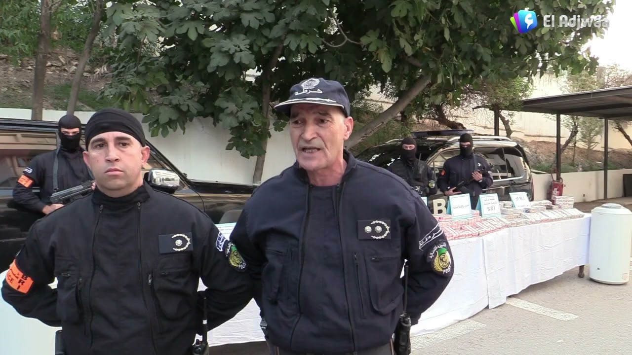 #ميلة _ توقيف شبكة تتاجر بالمخدرات وحجز أكثر من 80 كلغ من الكيف المعالج