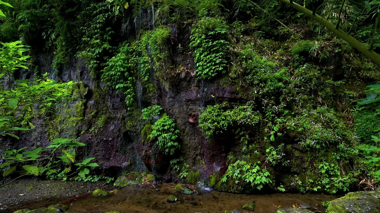 Relaxing white noise and river sounds for focus, sleep, and healing therapy