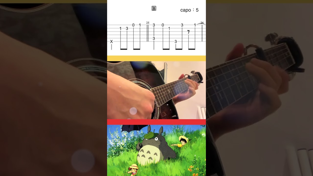 My Neighbor Totoro #HanSoloGuitar