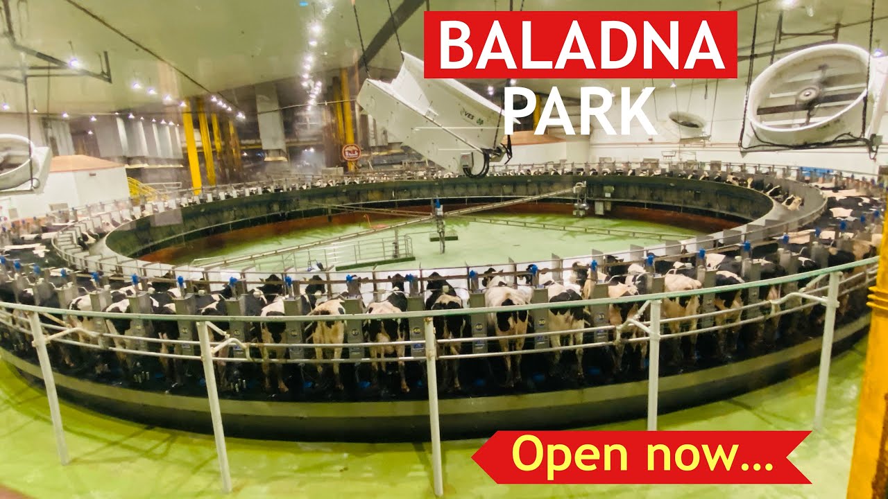 BALADNA PARK | Baladna Dairy Farm Full Tour #baladnapark #baladna #qatar