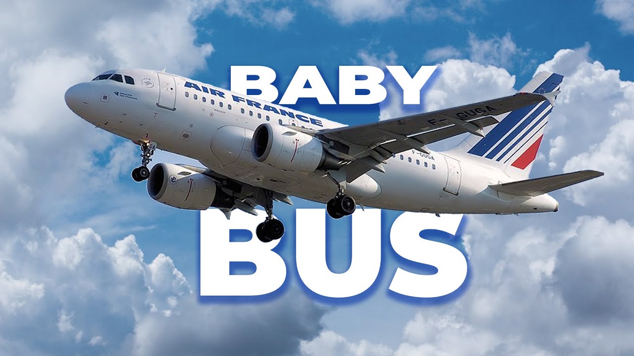 Why Did Airbus Build The A318 Baby Bus?