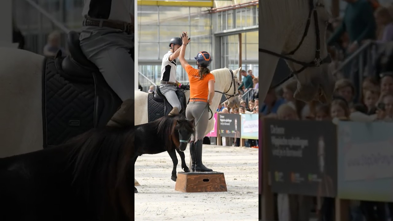 Horse Event Youth! - Zie alles in de video morgen ❤️🤩  #paard #horse #horseventyouth #horseevent