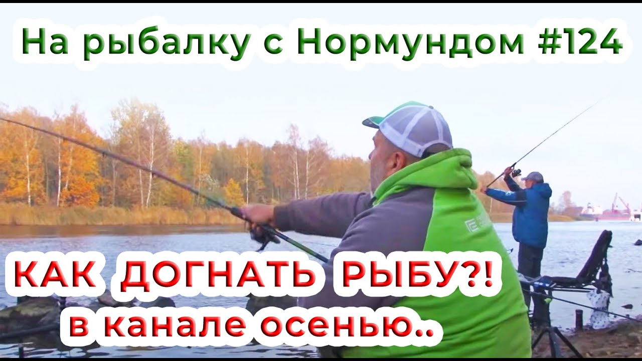 КАК ДОГНАТЬ РЫБУ в канале осенью?! / На рыбалку с Нормундом #124