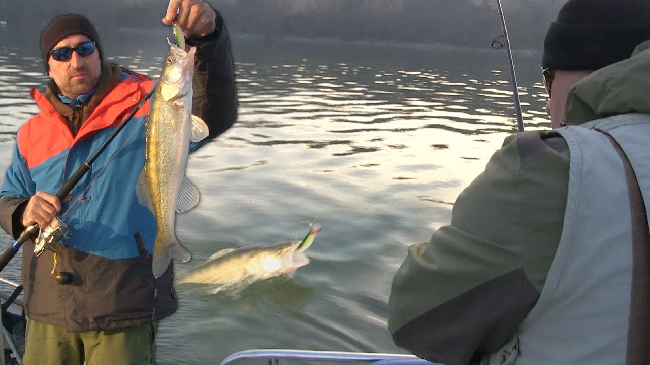 Pecanje smuđa na Dunavu kod Beograda - Varaličarenje | Fishing zander