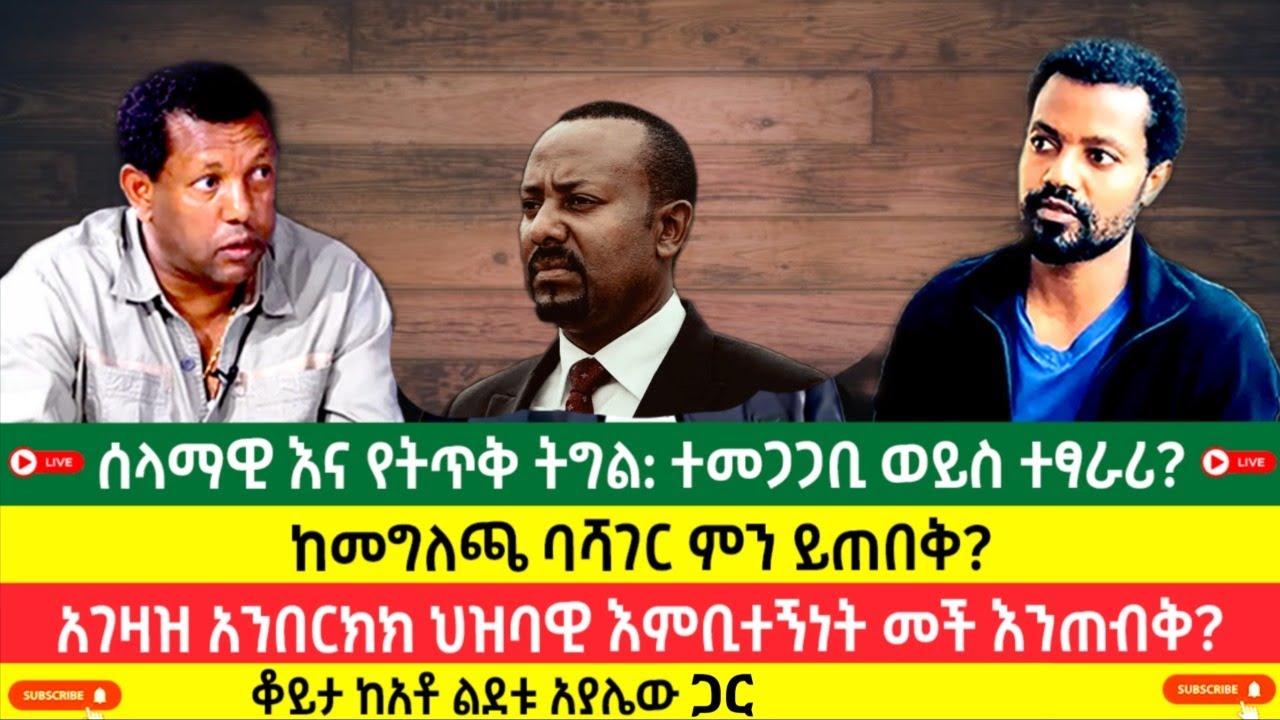 ሰላማዊ እና የትጥቅ ትግል: ተመጋጋቢ ወይስ ተፃራሪ? ከመግለጫ ባሻገር | አገዛዝ አንበርክክ ህዝባዊ እምቢተኝነት መች እንጠብቅ?