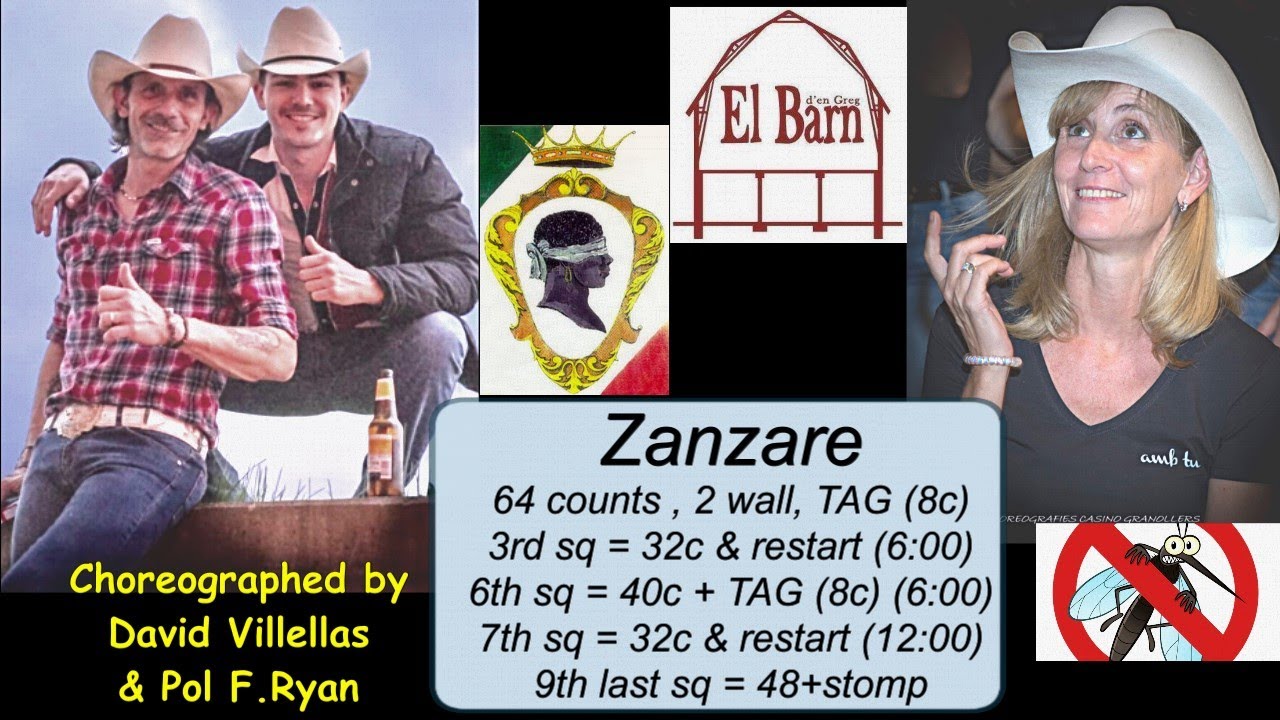 Zanzare