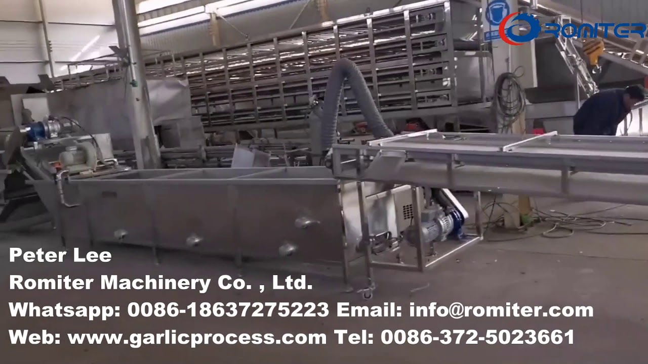 Automatic Garlic Clove Breaking Peeling Washing Color Sorting Line