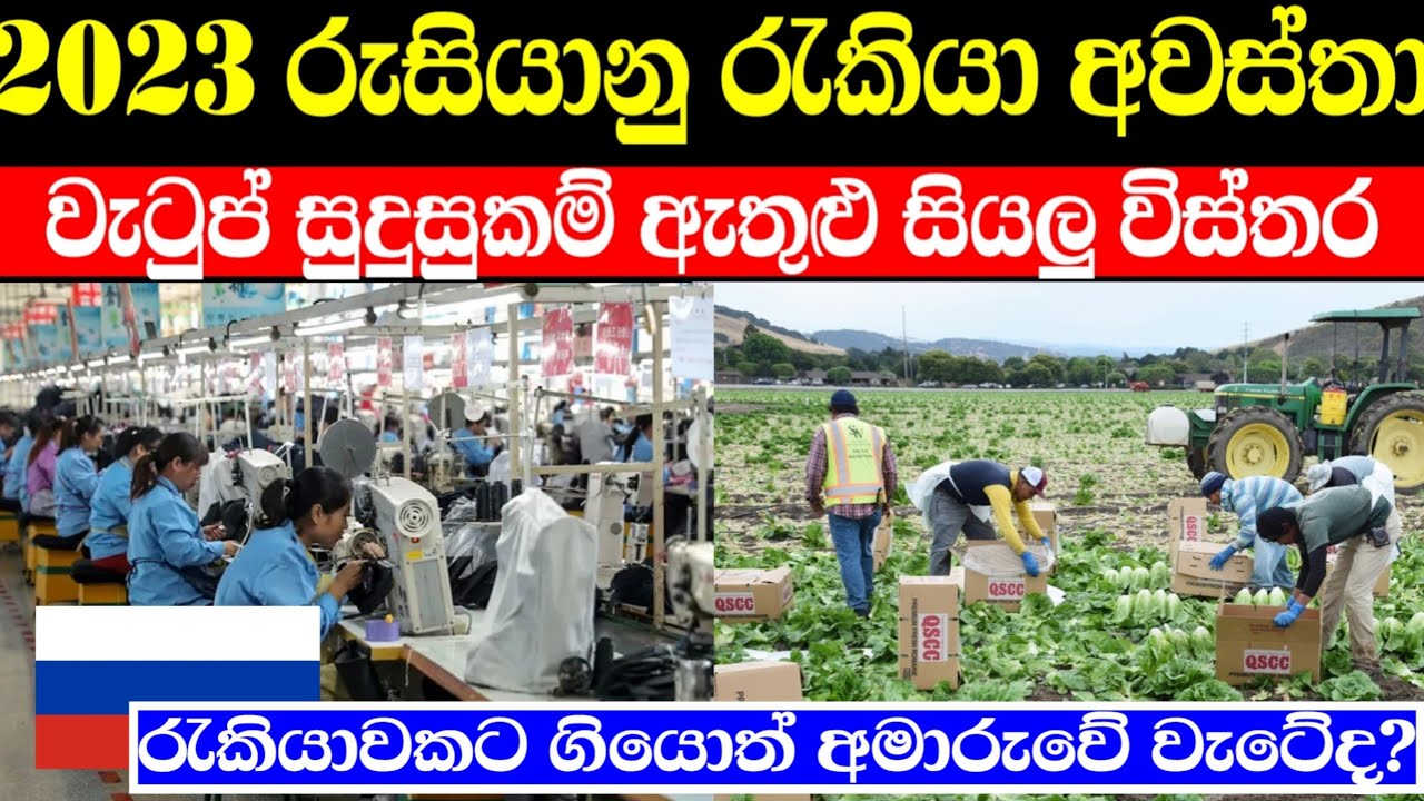 රුසියානු රැකියා අවස්තා 2023 | වැටුප් සුදුසුකම් ඇතුළු සියලුම විස්තර 🇷🇺
