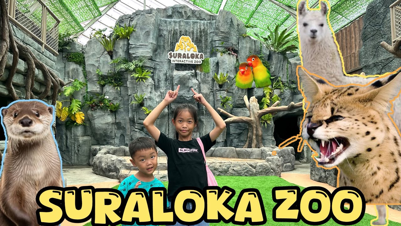 Kebun Binatang Jogja | Suraloka Zoo