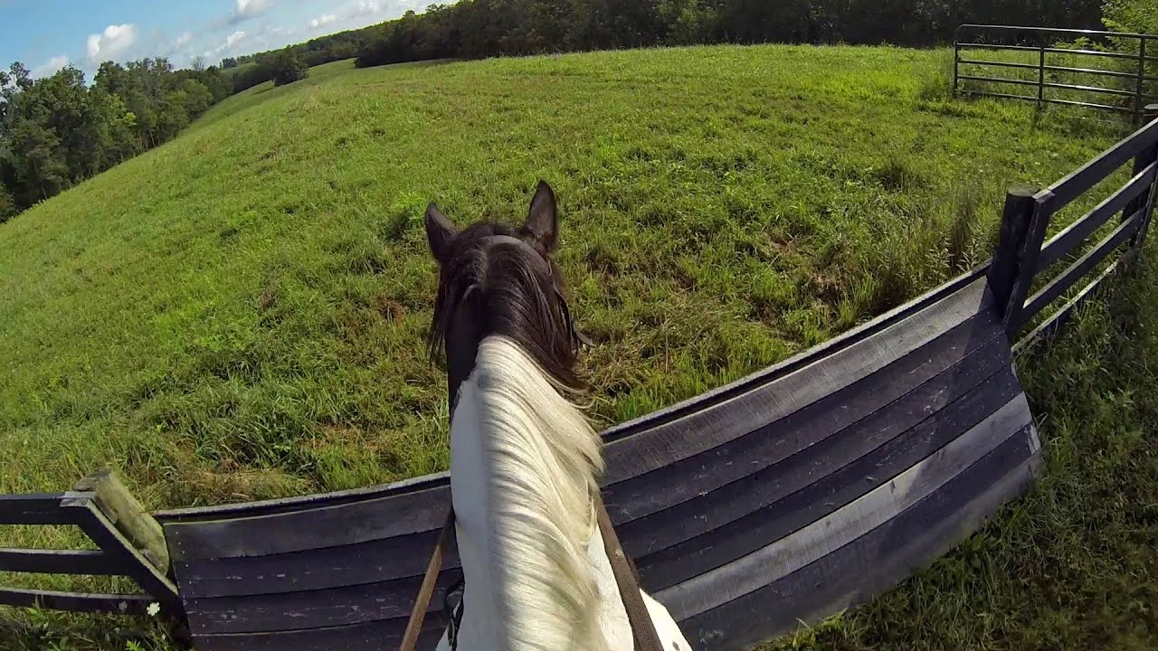 Crazy-long uphills, monster coops all through beautiful countryside at Camargo's Hunter Pace