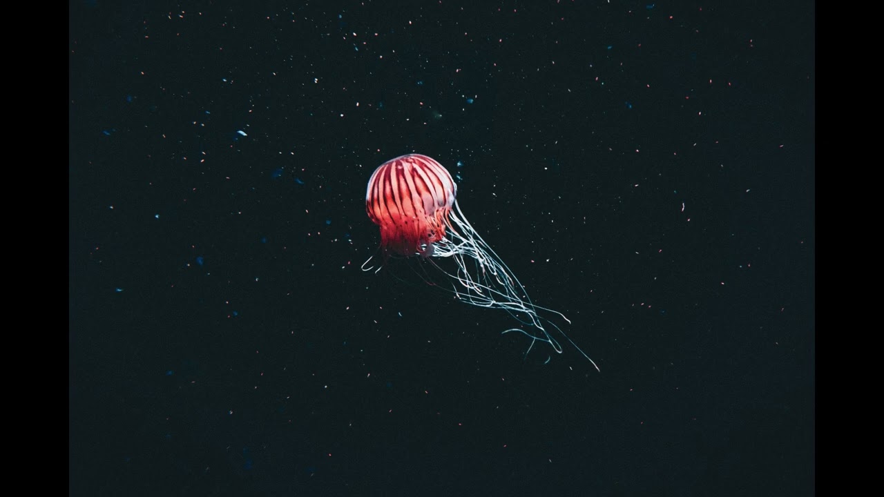 2 Hours of Deep Ocean Secrets | Mysterious Underwater Journey (Sleep & Study)