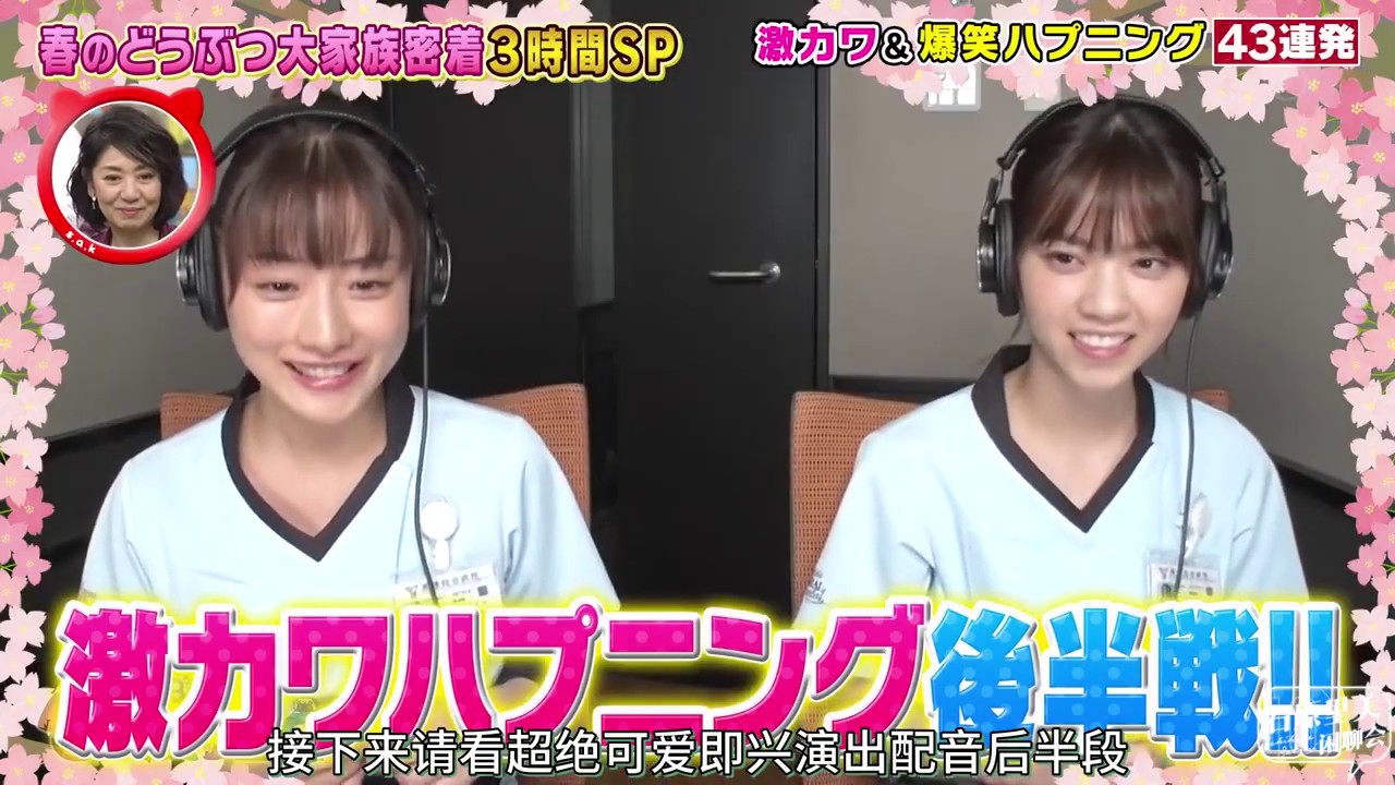 2020 04 17 坂上動物園 石原里美&西野七瀨 cut