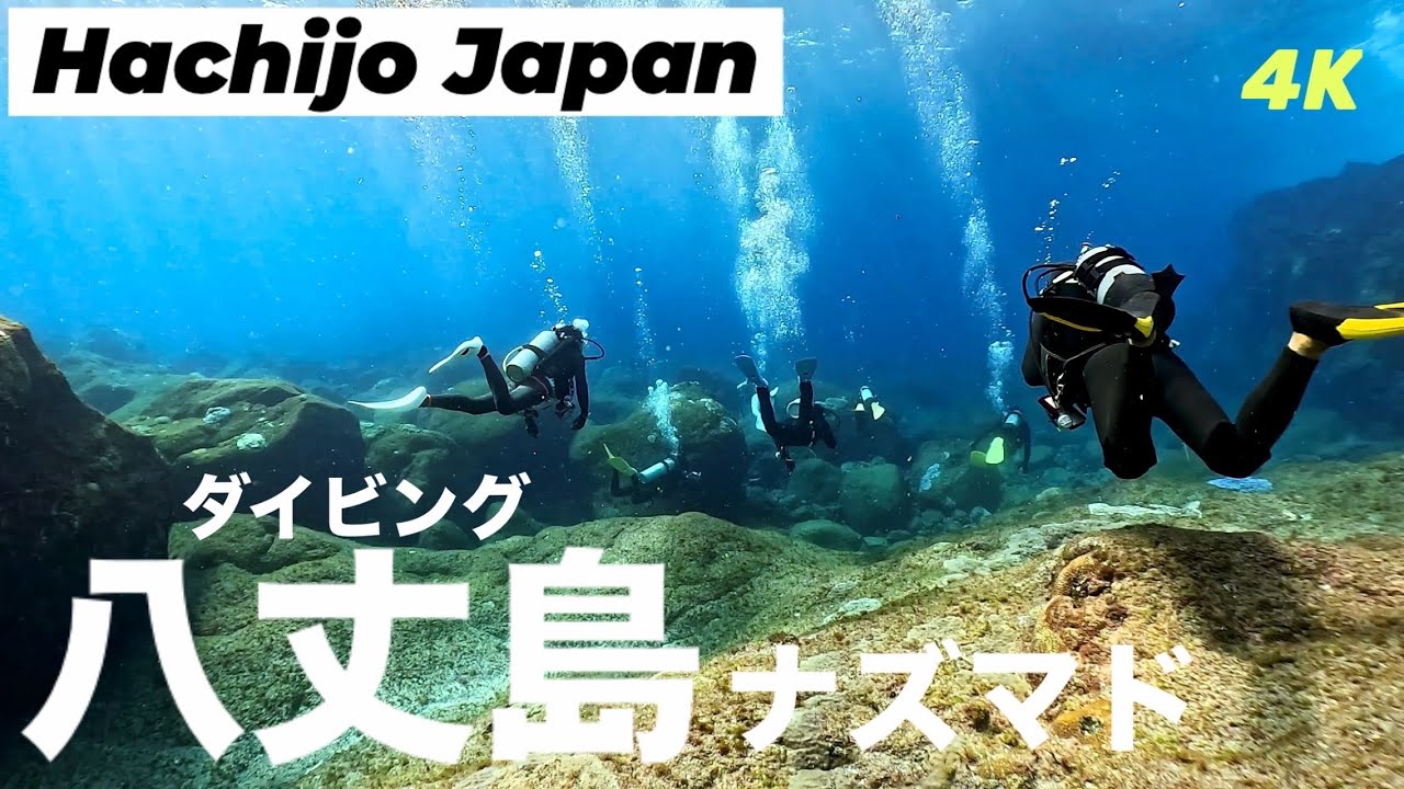 八丈島ダイビングVlog｜透明度抜群！光差すダイナミック地形とマグロ登場　Hachijo Japan Diving Vlog