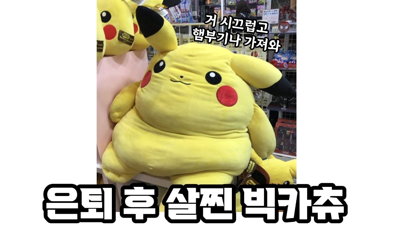 피카츄 돼지새끼