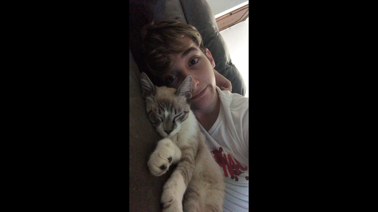 Calango e Guaxinim com o gatinho Ziggy