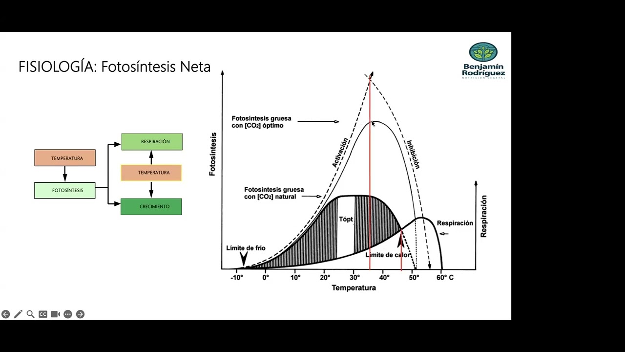 INDUCCIÓN FLORAL AMARRE Y CUAJE MEDIANTE NUTRICIÓN VEGETAL Webinar 14 Nov
