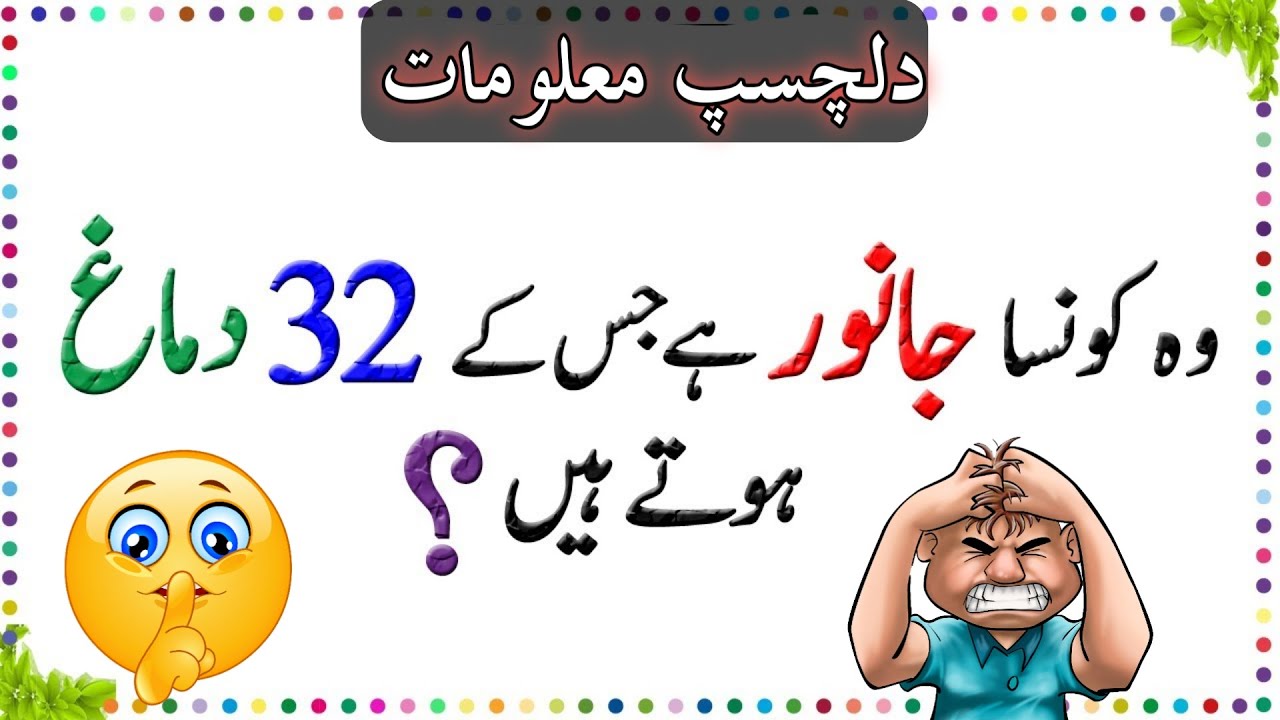 12 Amazing Riddles | urdu, Hindi paheliyan | GK Video | Riddles in hindi/urdu پہلیاں