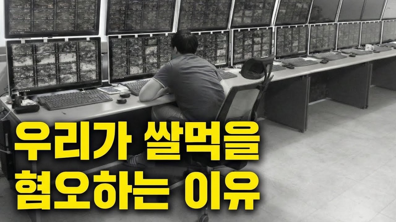 쌀먹은 디지털 노동입니다.