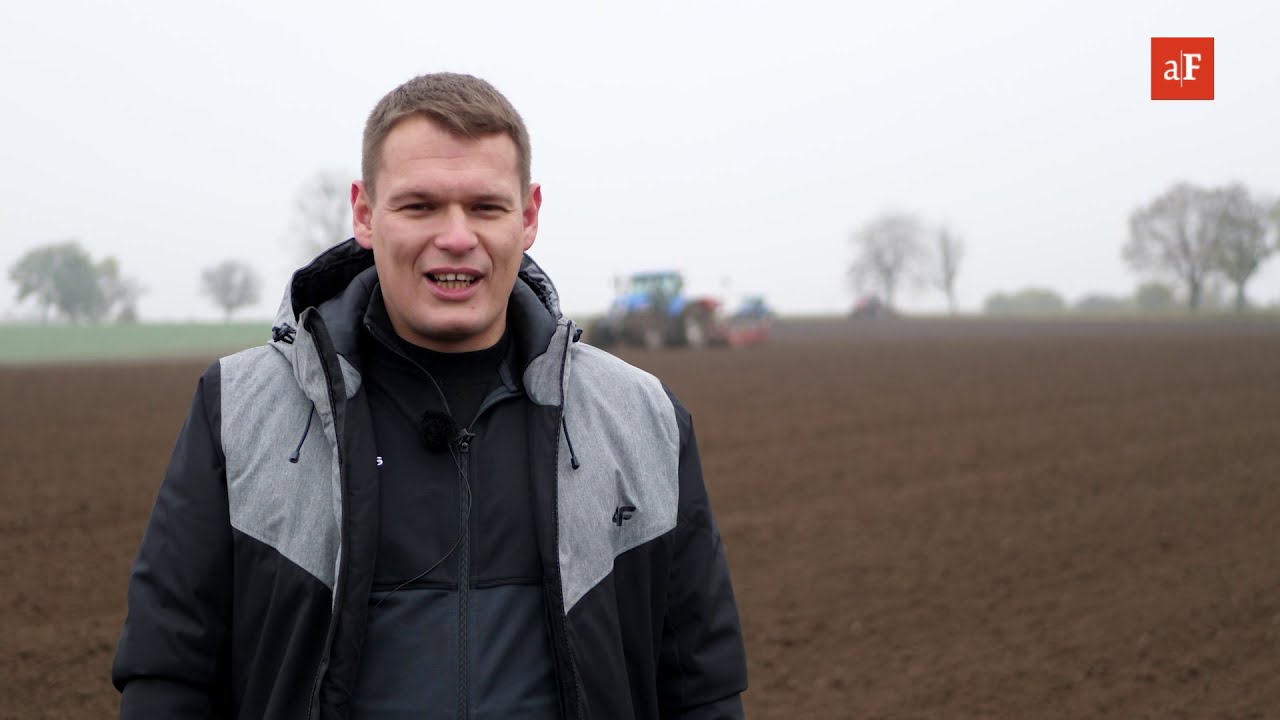 Opóźniony siew pszenicy ozimej – RAPORT Z POLA