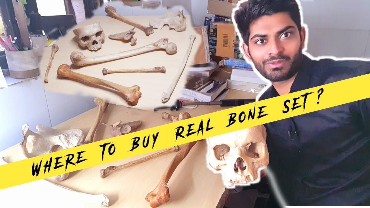 Where to Buy Real Bone Set ? | No PVC, No Plastic | Zero Cost | ENMEDER