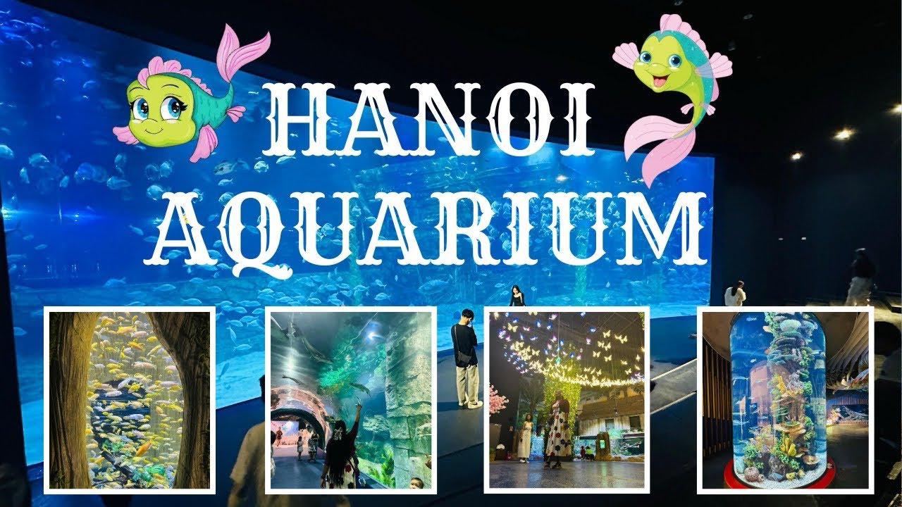 Under the Sea in Hanoi! 🌊🐡 | Lotte Aquarium Tour😍 #lotteworldaquarium #hanoi 
