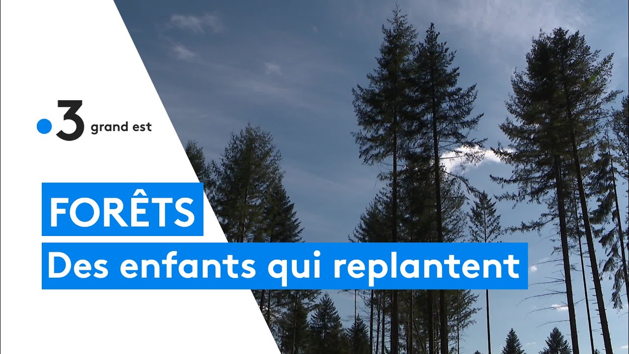 Mettre un titre clair avec les bons mots clés