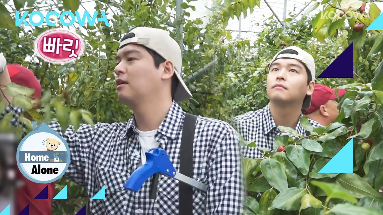 Hmm, maybe Lee Jang Woo should become a farmer? l Home Alone Ep 468 [ENG SUB]