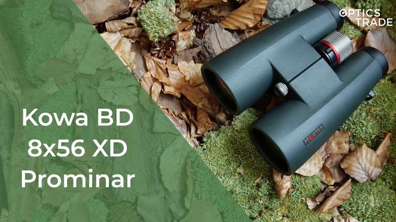 Обзор бинокля Kowa BD 8x56 XD Prominar | Обзоры Optics Trade