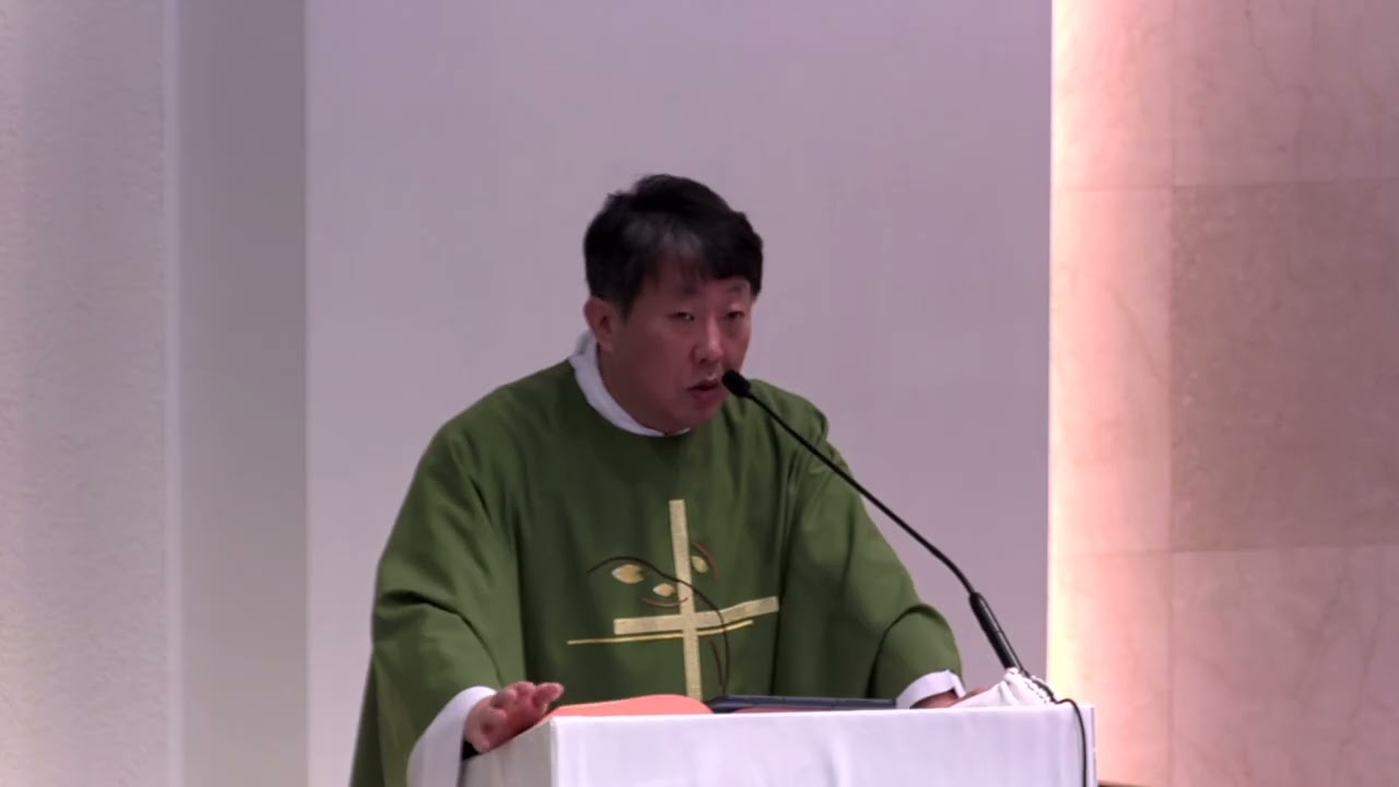 [매일미사 강론] 하느님의 말씀을 간직할 때 우리 안에서 이루어지는 놀라운 은총. 연중 제5주간 수요일. 26.02.11./ 김재덕 베드로 신부
