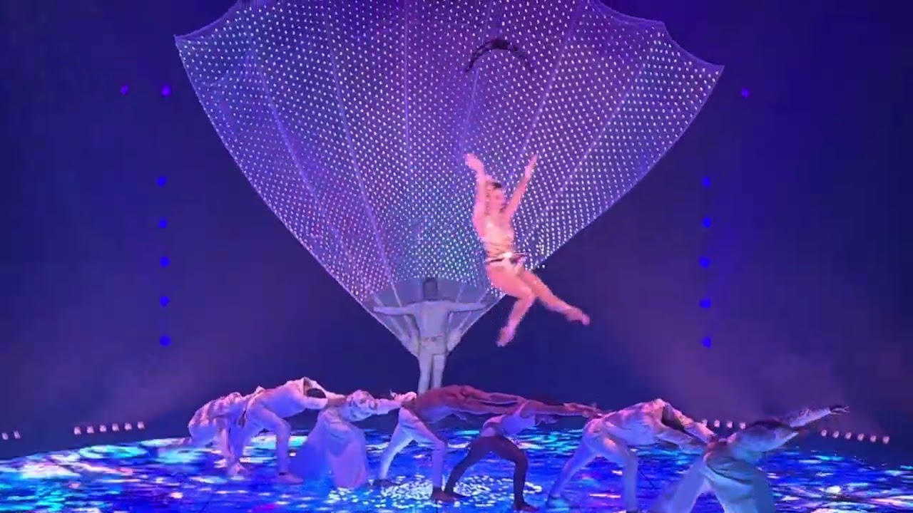 Cirque Knie￼