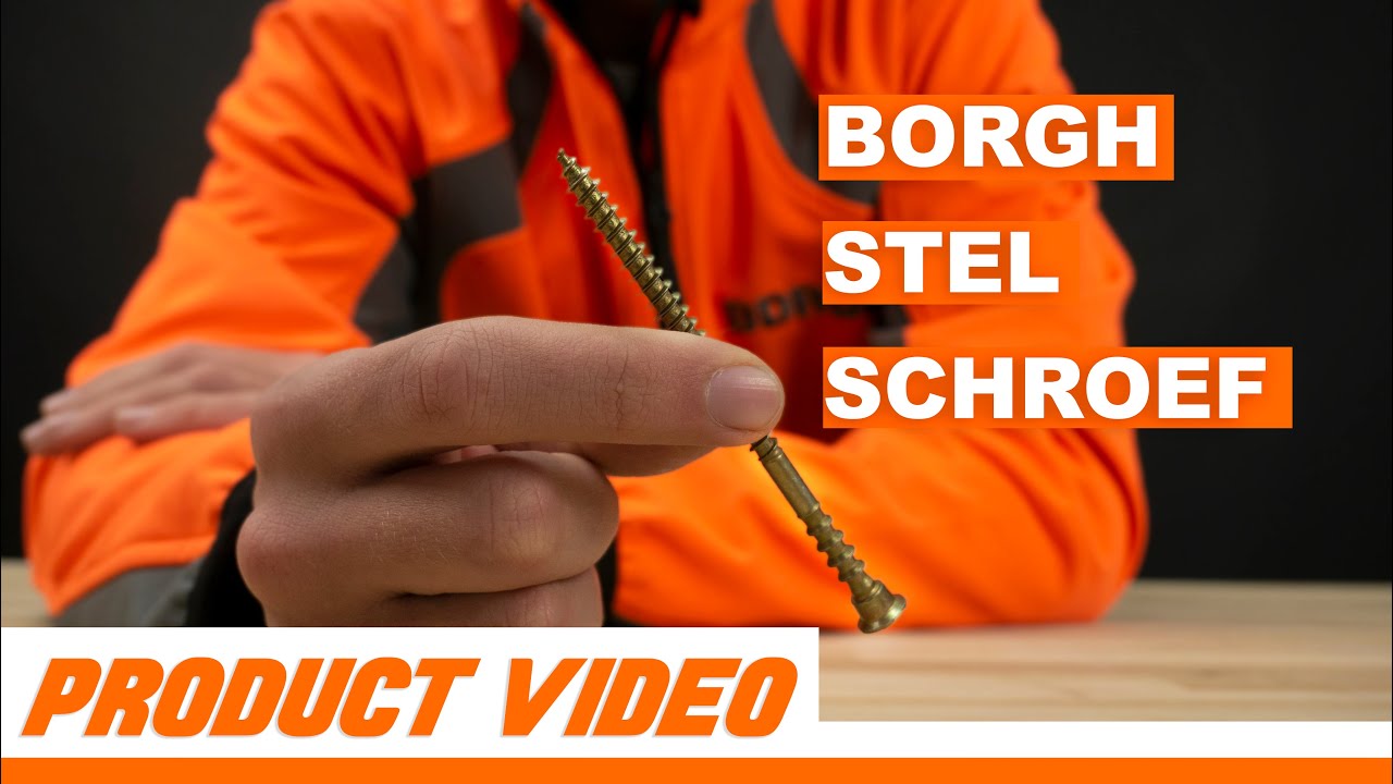 DE BORGH STELSCHROEVEN! | Borgh