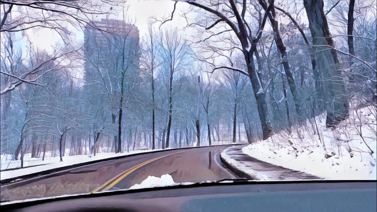 Beautiful & relaxing drive to my favourite cafe in Brookline, MA in snow | Boston 4K |
