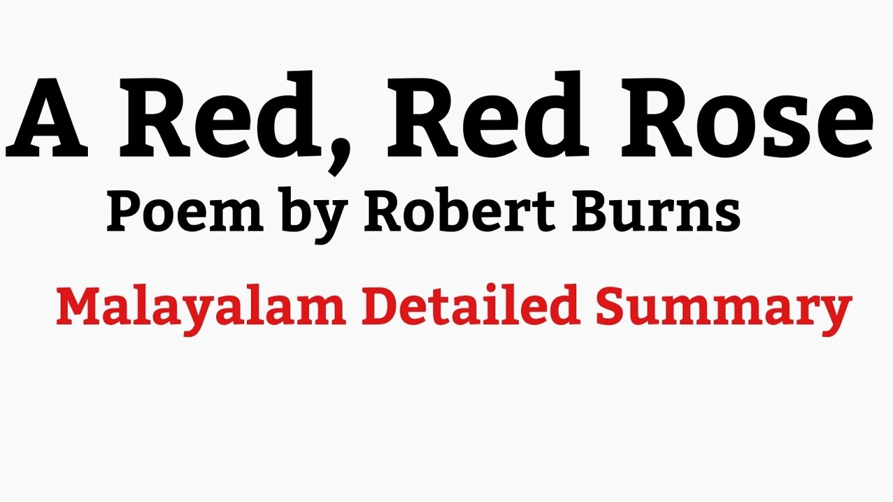 A Red,Red Rose by Robert Burns #sreenarayanaguruopenuniversity#maenglish#firstsem  MalayalamSummary